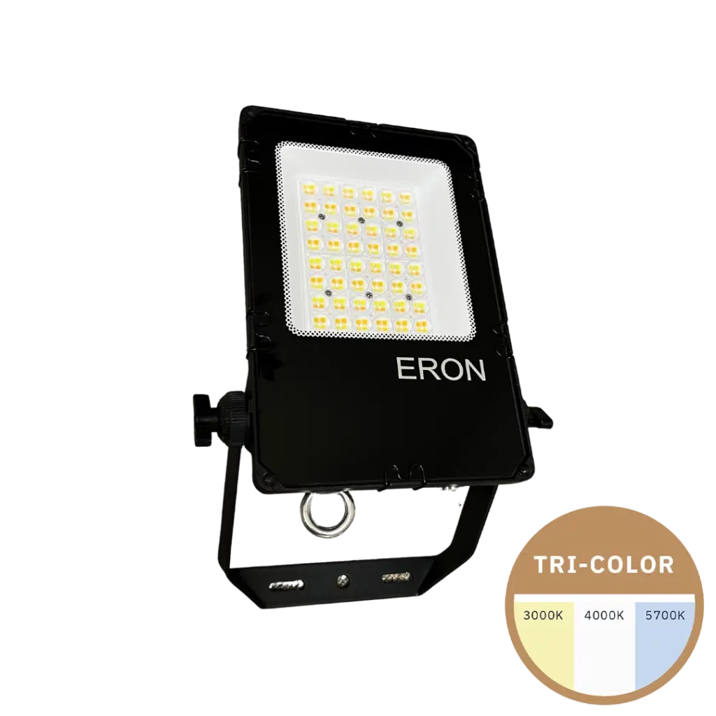 ERON Pro 100W 1